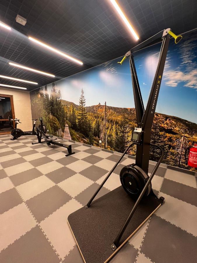 Green Park Resort A25 -Z Dostepem Do Basenu, Sauny, Jacuzzi, Silowni Шклярска Поремба Екстериор снимка